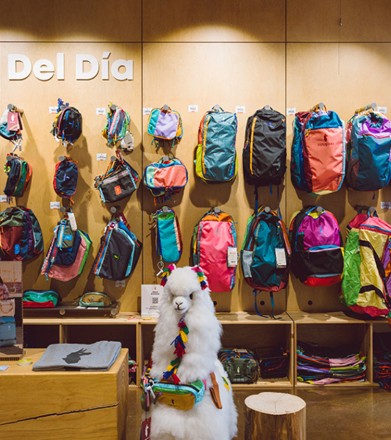 Hello, I am Cotopaxi