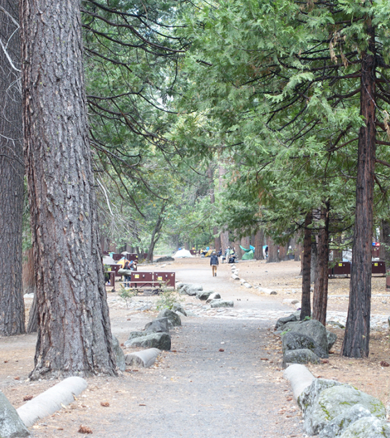 The Adventure Goes On #1